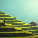 agriculture-1807581